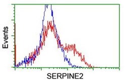 SERPINE2 Monoclonal Antibody (OTI6F3), TrueMAB , OriGene 100 &mu;L; Unconjugated:Antibodies,
