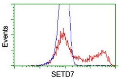 SETD7 Mouse anti-Canine, Human, Mouse, Rat, Clone: OTI2D10, lyophilized, TrueMAB 100 &mu;g | Buy Online | OriGene | Fisher Scientific