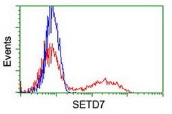 SETD7 Monoclonal Antibody (OTI2E3), TrueMAB , OriGene 100 &mu;L; Unconjugated:Antibodies,