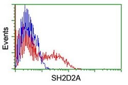SH2D2A Monoclonal Antibody (OTI1B8), TrueMAB , OriGene 100 &mu;L; Unconjugated:Antibodies,