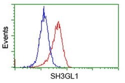 SH3GL1 Mouse anti-Human, Clone: OTI2F5, liquid, TrueMAB 100 &mu;L | Buy Online | OriGene | Fisher Scientific