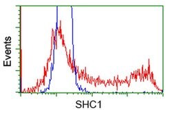 SHC1 Monoclonal Antibody (OTI3H1), TrueMAB , OriGene 100 &mu;L | Buy Online | OriGene | Fisher Scientific
