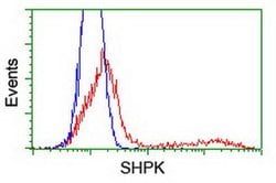SHPK Monoclonal Antibody (OTI1D1), TrueMAB , OriGene 30 &mu;L; Unconjugated:Antibodies,