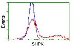 SHPK Monoclonal Antibody (OTI4E9), TrueMAB , OriGene 30 &mu;L; Unconjugated:Antibodies,