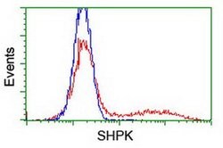 SHPK Monoclonal Antibody (OTI2A12), TrueMAB , OriGene 100 &mu;L; Unconjugated:Antibodies,