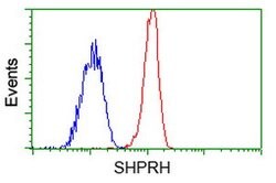 SHPRH Mouse anti-Human, Clone: OTI5G8, lyophilized, TrueMAB 100 &mu;g;