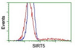 SIRT5 Monoclonal Antibody (OTI2C4), TrueMAB , OriGene 100 &mu;L; Unconjugated:Antibodies,