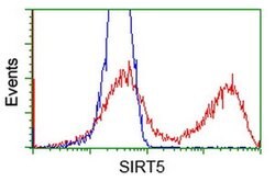 SIRT5 Monoclonal Antibody (OTI 1G9), TrueMAB , OriGene:Antibodies:Primary