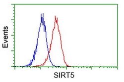 SIRT5 Monoclonal Antibody (OTI 1G9), TrueMAB , OriGene 100 &mu;L; Unconjugated:Antibodies,