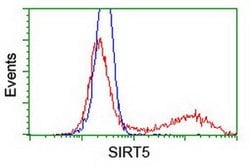 SIRT5 Monoclonal Antibody (OTI 1G5), TrueMAB , OriGene 30 &mu;L; Unconjugated:Antibodies,