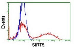 SIRT5 Monoclonal Antibody (OTI2A11), TrueMAB , OriGene 100 &mu;L; Unconjugated:Antibodies,