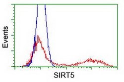 SIRT5 Monoclonal Antibody (OTI2E10), TrueMAB , OriGene 100 &mu;L; Unconjugated:Antibodies,