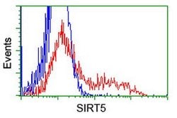 SIRT5 Mouse anti-Human, Clone: OTI1B6, lyophilized, TrueMAB 100 &mu;g;