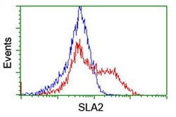 SLA2 Monoclonal Antibody (OTI3E3), TrueMAB , OriGene 30 &mu;L; Unconjugated:Antibodies,