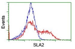 SLA2 Mouse anti-Human, Clone: OTI1D2, lyophilized, TrueMAB 100 &mu;g; Unconjugated:Antibodies,