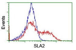 SLA2 Monoclonal Antibody (OTI1D2), TrueMAB , OriGene 100 &mu;L; Unconjugated:Antibodies,