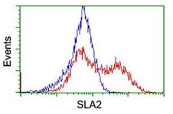 SLA2 Monoclonal Antibody (OTI3A7), TrueMAB , OriGene 30 &mu;L; Unconjugated:Antibodies,