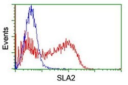 SLA2 Monoclonal Antibody (OTI1F7), TrueMAB , OriGene 30 &mu;L; Unconjugated:Anticuerpos