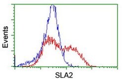 SLA2 Monoclonal Antibody (OTI2G3), TrueMAB , OriGene 100 &mu;L; Unconjugated:Antibodies,