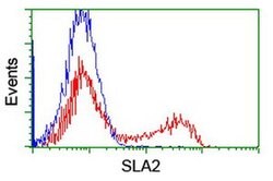 SLA2 Monoclonal Antibody (OTI2F7), TrueMAB , OriGene 100 &mu;L; Unconjugated:Antibodies,
