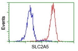 SLC2A5 Mouse anti-Human, Clone: OTI9F3, lyophilized, TrueMAB 100 &mu;g;