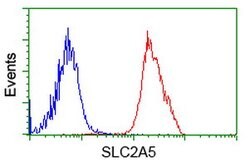 SLC2A5 Mouse anti-Human, Clone: OTI9F3, lyophilized, TrueMAB 100 &mu;g;