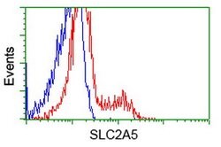 SLC2A5 Mouse anti-Human, Clone: OTI12F2, lyophilized, TrueMAB 100 &mu;g;