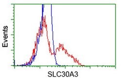 SLC30A3 Mouse anti-Human, Clone: OTI2H6, lyophilized, TrueMAB 100 &mu;g;