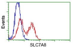 SLC7A8 Mouse anti-Human, Clone: OTI5A9, lyophilized, TrueMAB 100 &mu;g;