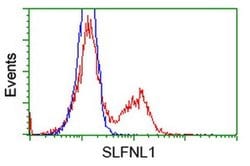 SLFNL1 Monoclonal Antibody (OTI1C4), TrueMAB , OriGene 100 &mu;L; Unconjugated:Antibodies,