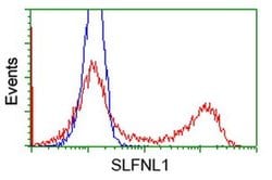 SLFNL1 Monoclonal Antibody (OTI4F7), TrueMAB , OriGene 30 &mu;L; Unconjugated:Antibodies,