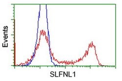 SLFNL1 Monoclonal Antibody (OTI2E9), TrueMAB , OriGene 30 &mu;L; Unconjugated:Antibodies,