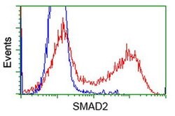 SMAD2 Monoclonal Antibody (OTI4G7), TrueMAB , OriGene:Antibodies:Primary