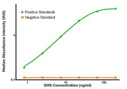 SMS Mouse anti-Human, Clone: OTI5C12, liquid, TrueMAB 100 &mu;g; Unconjugated:Antibodies,
