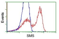 SMS Monoclonal Antibody (OTI 1A7), TrueMAB , OriGene 100 &mu;L; Unconjugated:Antibodies,