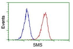 SMS Monoclonal Antibody (OTI 1A7), TrueMAB , OriGene 100 &mu;L; Unconjugated:Antibodies,