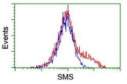 SMS Mouse anti-Canine, Human, Mouse, Rat, Clone: OTI3C9, lyophilized, TrueMAB