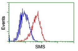 SMS Mouse anti-Canine, Human, Mouse, Rat, Clone: OTI3C9, lyophilized, TrueMAB