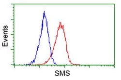 SMS Mouse anti-Human, Clone: OTI5E5, lyophilized, TrueMAB 100 &mu;g; Unconjugated:Antibodies,