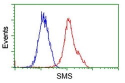 SMS Monoclonal Antibody (OTI 5F9), TrueMAB , OriGene 30 &mu;L; Unconjugated:Antibodies,