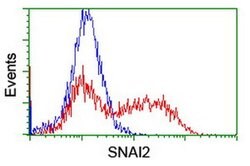 SNAI2 Monoclonal Antibody (OTI2A6), TrueMAB , OriGene 30 &mu;L; Unconjugated:Antibodies,