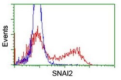SNAI2 Monoclonal Antibody (OTI2F3), TrueMAB , OriGene:Antibodies:Primary