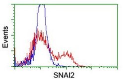 SNAI2 Mouse anti-Human, Clone: OTI1A6, liquid, TrueMAB 100 &mu;L; Unconjugated:Antibodies,