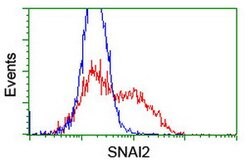 SNAI2 Mouse anti-Human, Clone: OTI1G7, lyophilized, TrueMAB 100 &mu;g;