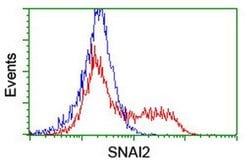 SNAI2 Monoclonal Antibody (OTI4E1), TrueMAB , OriGene 100 &mu;L; Unconjugated:Antibodies,