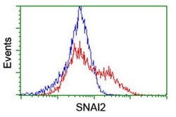 SNAI2 Monoclonal Antibody (OTI2B11), TrueMAB , OriGene 30 &mu;L; Unconjugated:Antibodies,