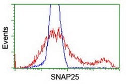 SNAP25 Mouse anti-Human, Clone: OTI4C6, lyophilized, TrueMAB 100 &mu;g;