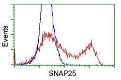 SNAP25 Monoclonal Antibody (OTI4B5), TrueMAB , OriGene 100 &mu;L; Unconjugated:Antibodies,