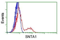 SNTA1 Monoclonal Antibody (OTI2D5), TrueMAB , OriGene 100 &mu;L; Unconjugated:Antibodies,