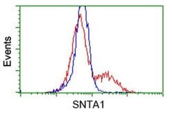 SNTA1 Mouse anti-Canine, Human, Rat, Clone: OTI1H10, liquid, TrueMAB 100